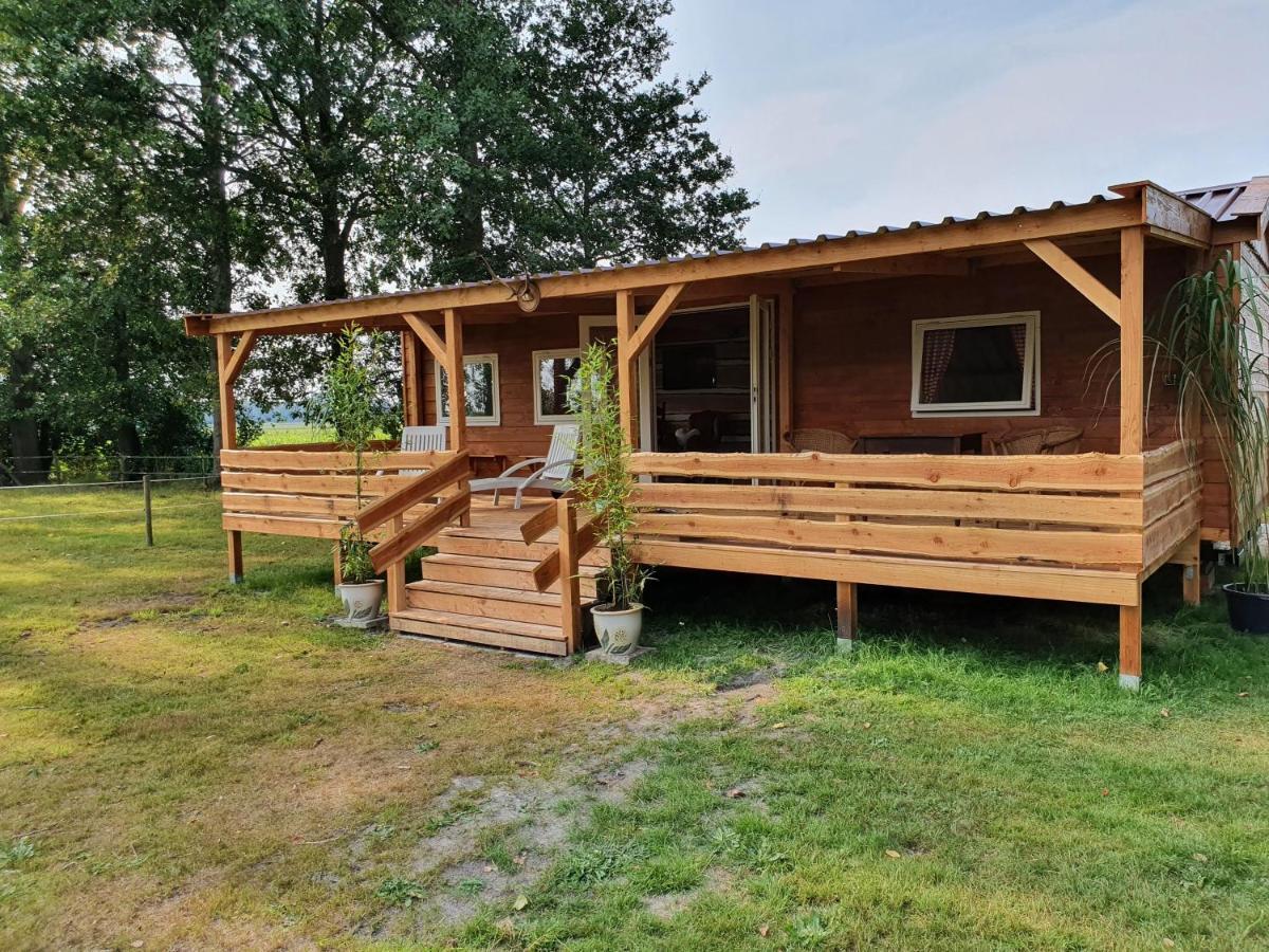 Ferienwohnung Tiny House Het Reebokje Vriescheloo Exterior foto