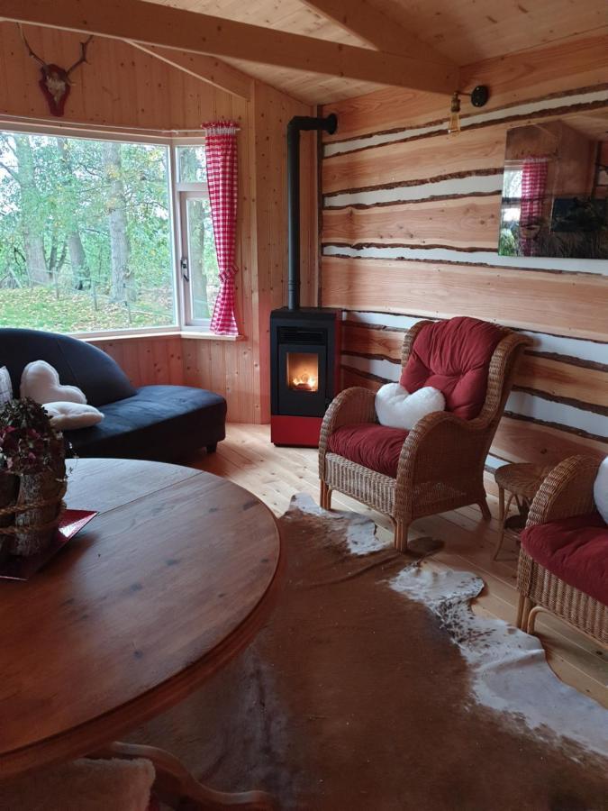Ferienwohnung Tiny House Het Reebokje Vriescheloo Exterior foto
