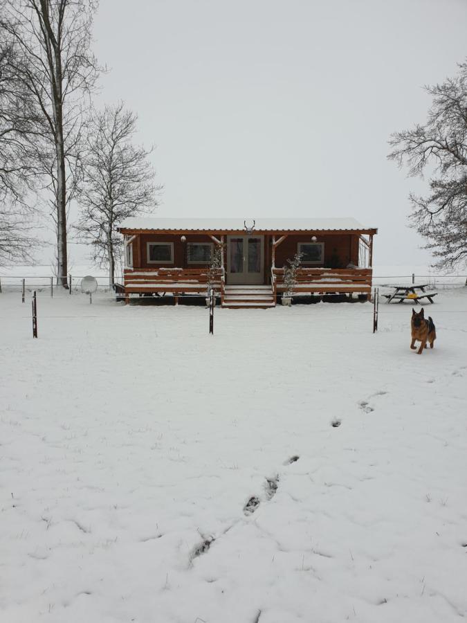 Ferienwohnung Tiny House Het Reebokje Vriescheloo Exterior foto