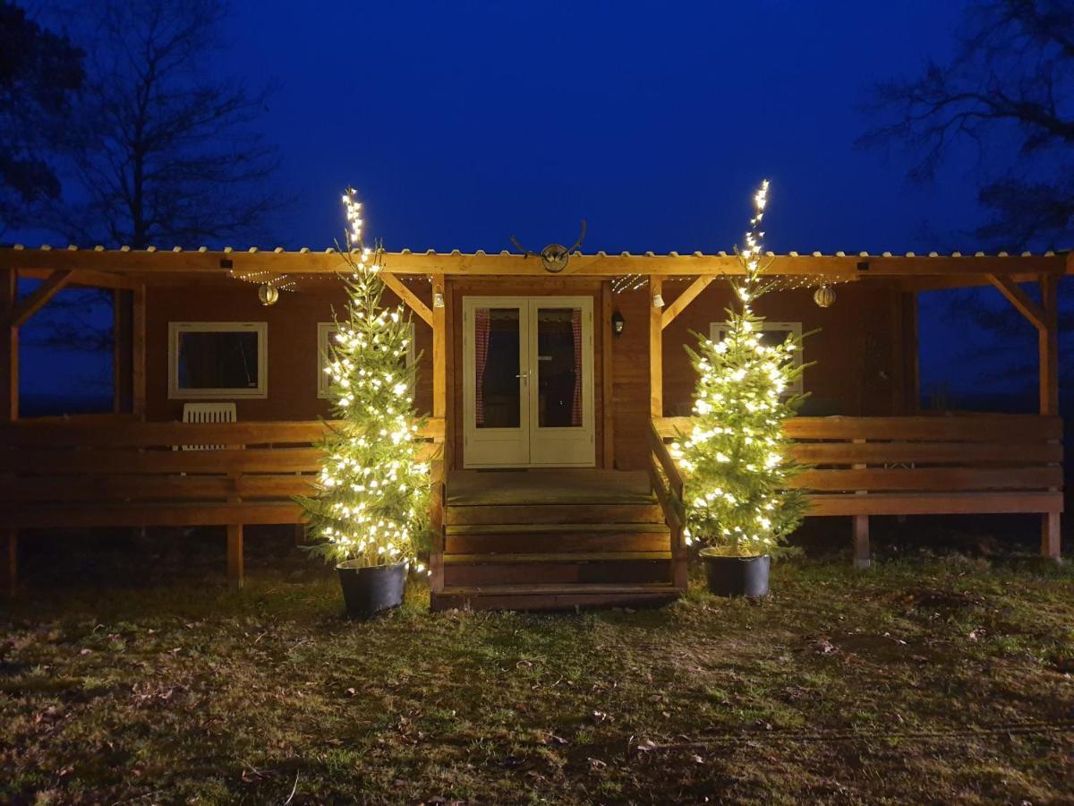 Ferienwohnung Tiny House Het Reebokje Vriescheloo Exterior foto